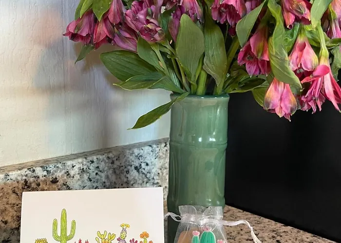 Cozy Minutes From U Of A Tucson